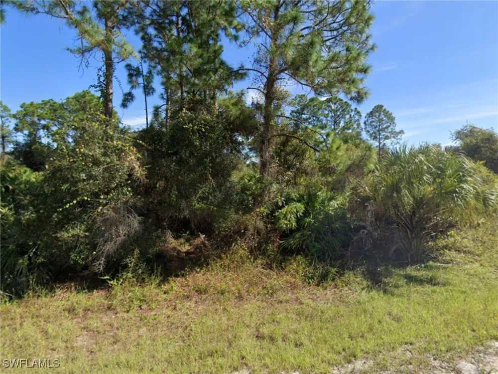 Fitch Avenue Alva, FL 33920