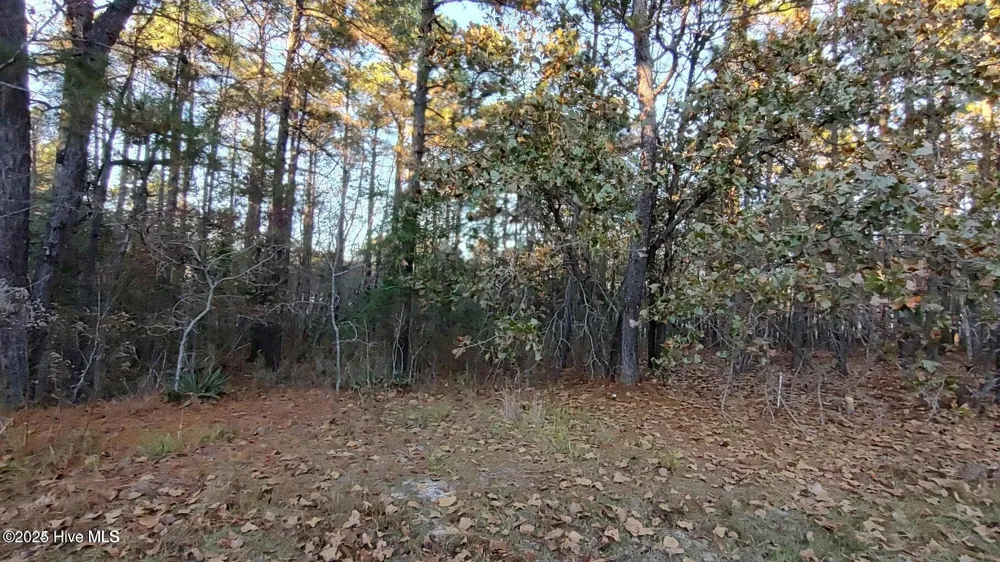 4 Brassie Circle Jackson Springs, NC 27281