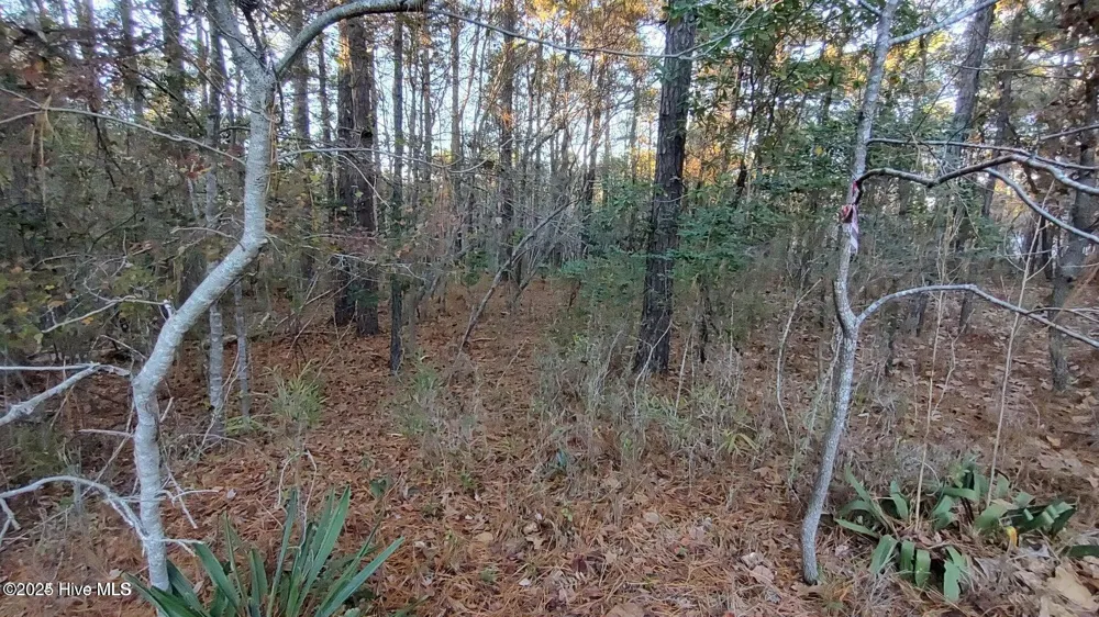 4 Brassie Circle Jackson Springs, NC 27281