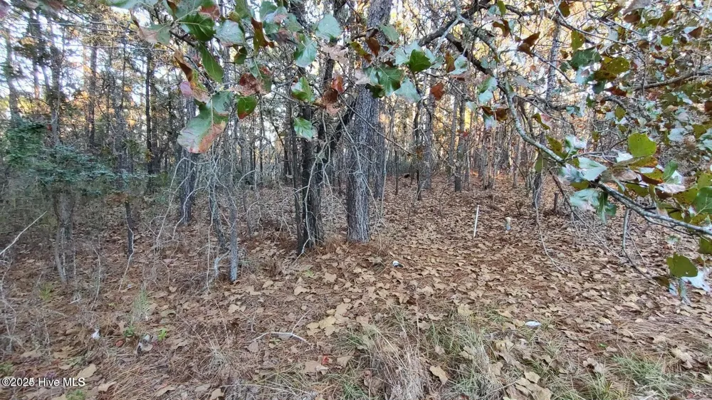 4 Brassie Circle Jackson Springs, NC 27281