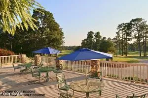 4 Brassie Circle Jackson Springs, NC 27281