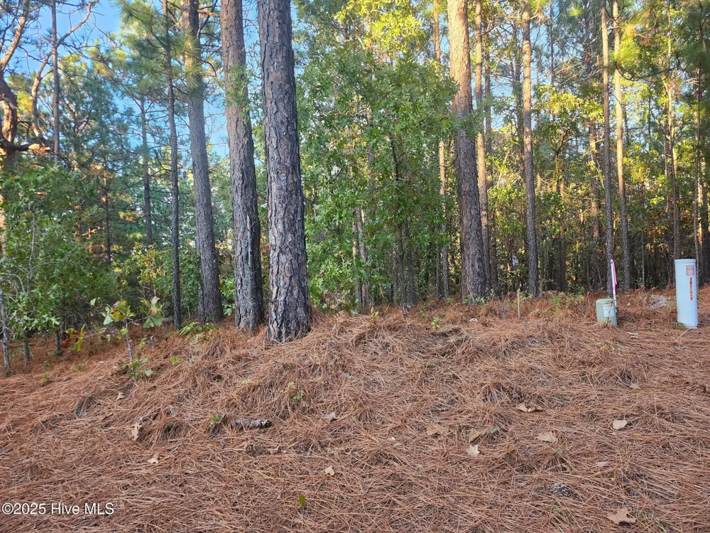 4 Brassie Circle Jackson Springs, NC 27281