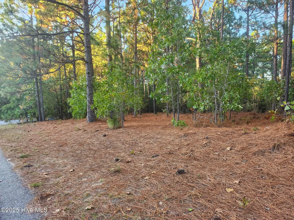 4 Brassie Circle Jackson Springs, NC 27281