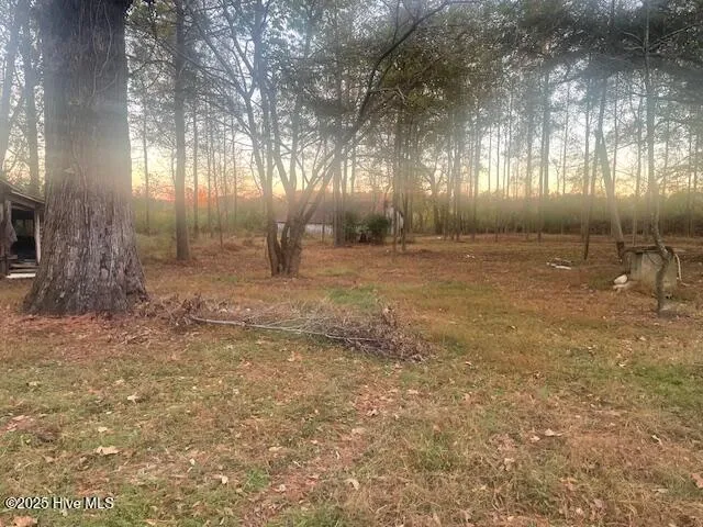 1890 Oneal Road Whitakers, NC 27891