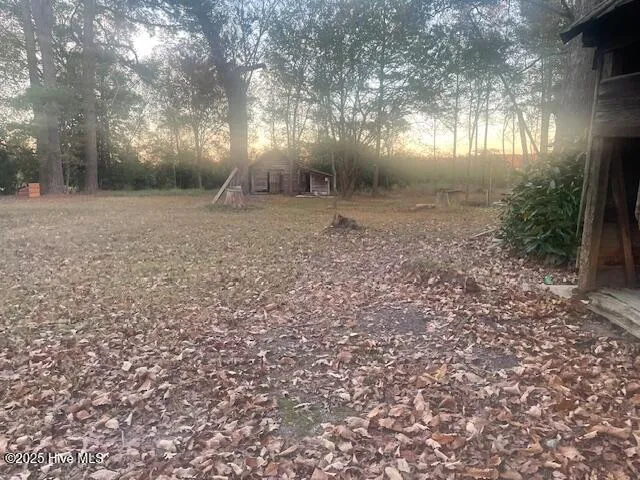 1890 Oneal Road Whitakers, NC 27891