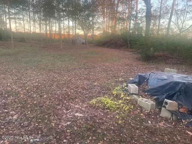 1890 Oneal Road Whitakers, NC 27891