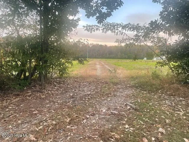 1890 Oneal Road Whitakers, NC 27891