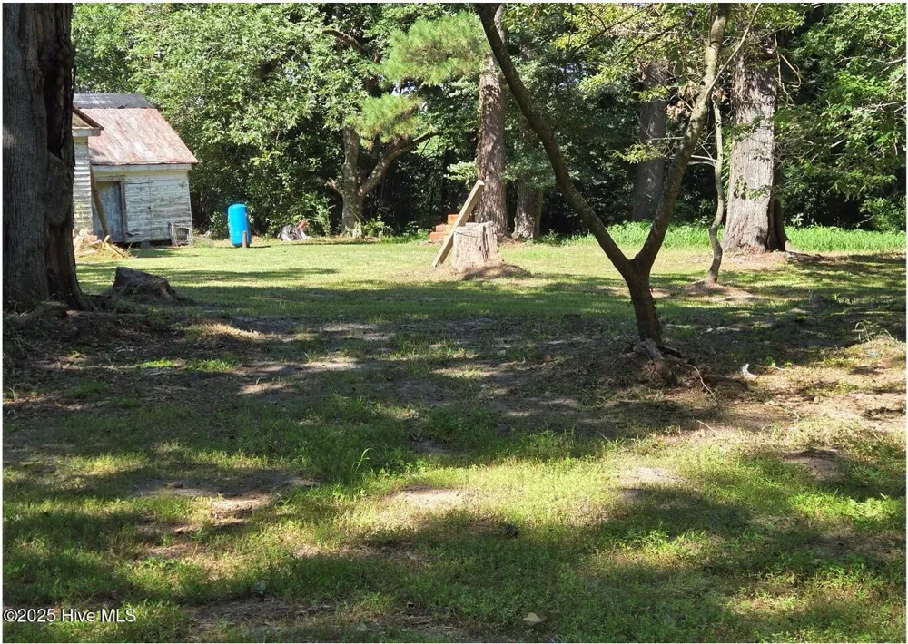 1890 Oneal Road Whitakers, NC 27891