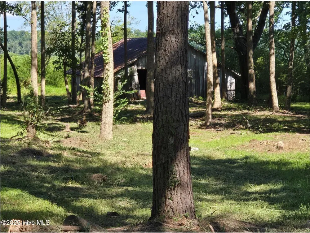 1890 Oneal Road Whitakers, NC 27891
