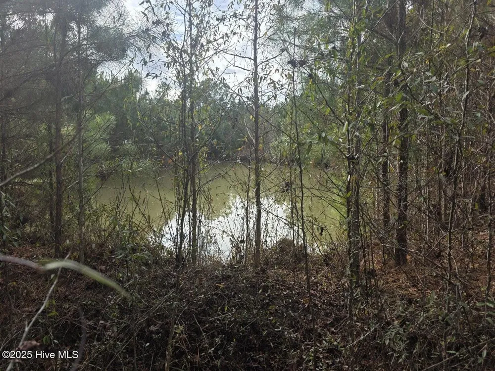 9093 Near 9093 Joe Brown Highway Bladenboro, NC 28320