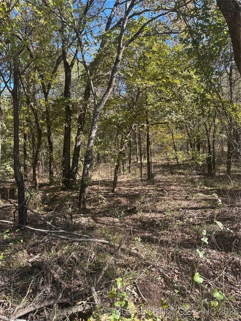 Rural Route Wister, OK 74966