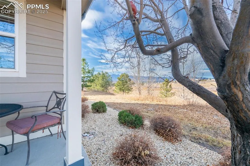 1890 Wildwood Pass Drive Colorado Springs, CO 80921
