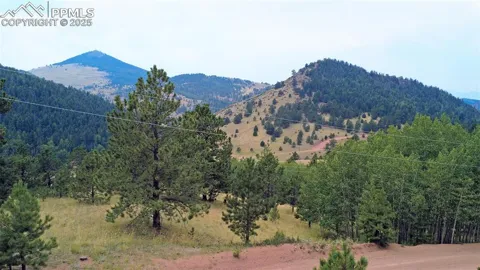 726 Copper Mountain Drive