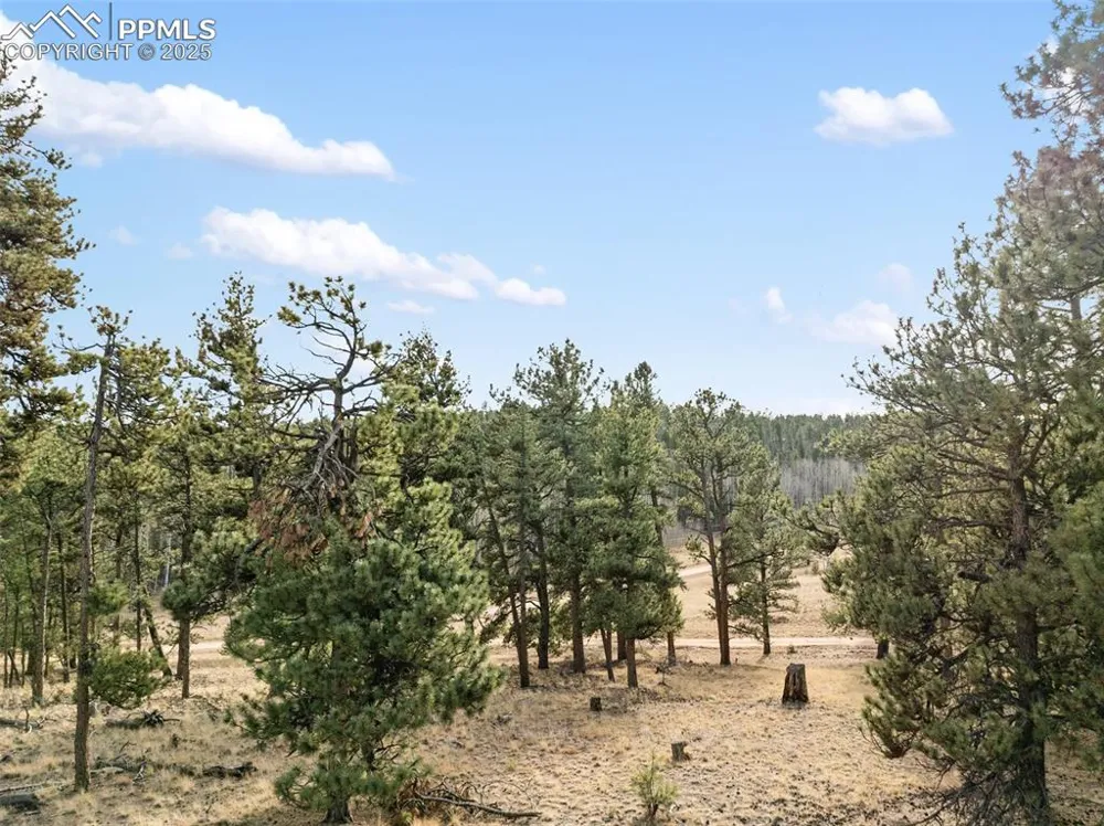 263 Valley Drive Lake George, CO 80827