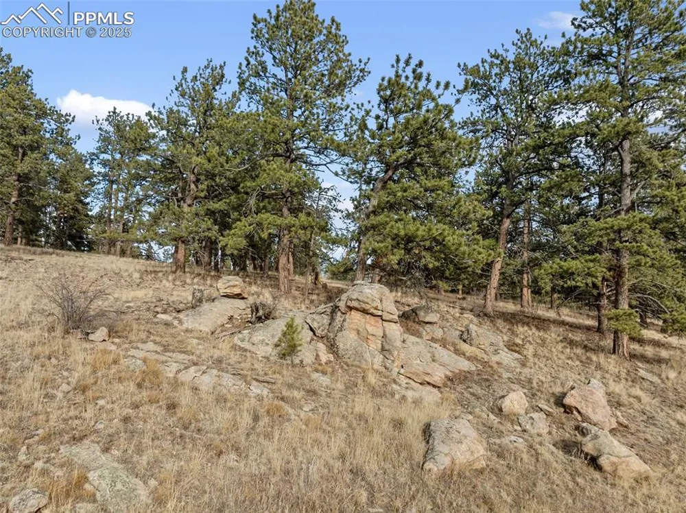 263 Valley Drive Lake George, CO 80827