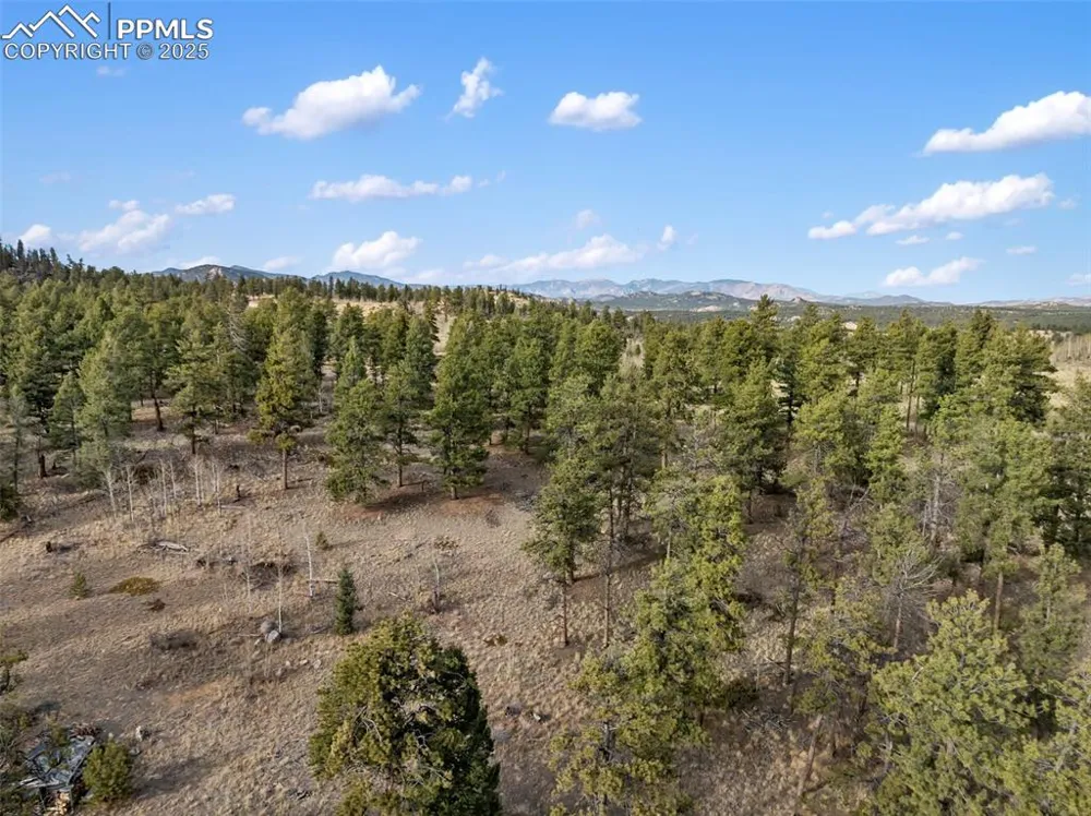 263 Valley Drive Lake George, CO 80827