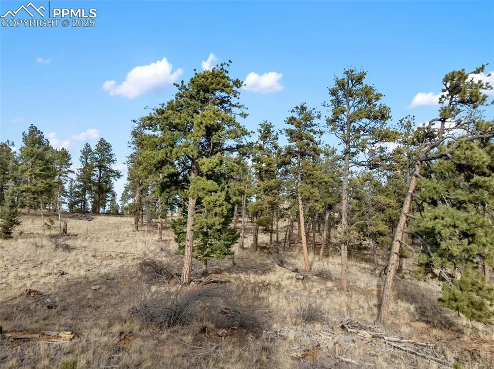 263 Valley Drive Lake George, CO 80827
