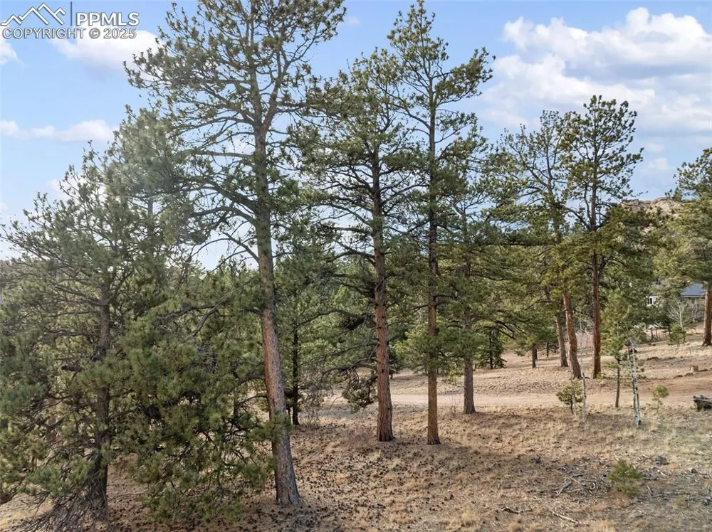263 Valley Drive Lake George, CO 80827
