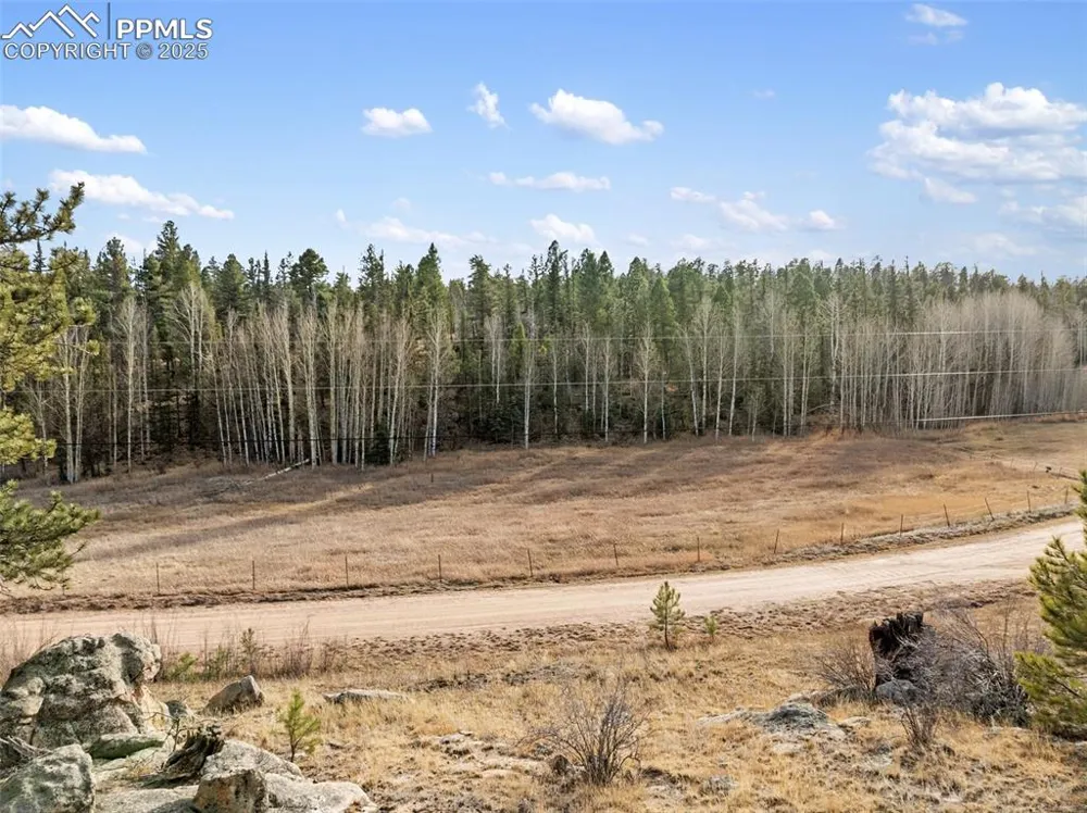 263 Valley Drive Lake George, CO 80827