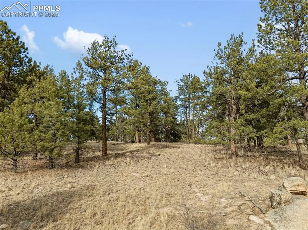 263 Valley Drive Lake George, CO 80827