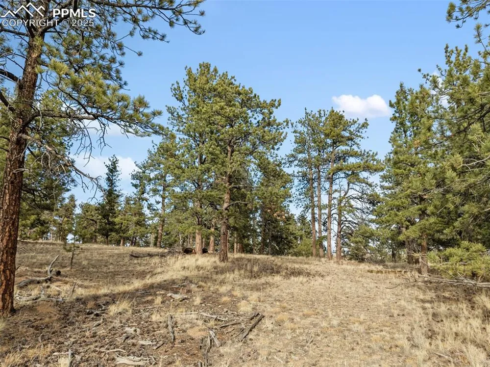 263 Valley Drive Lake George, CO 80827