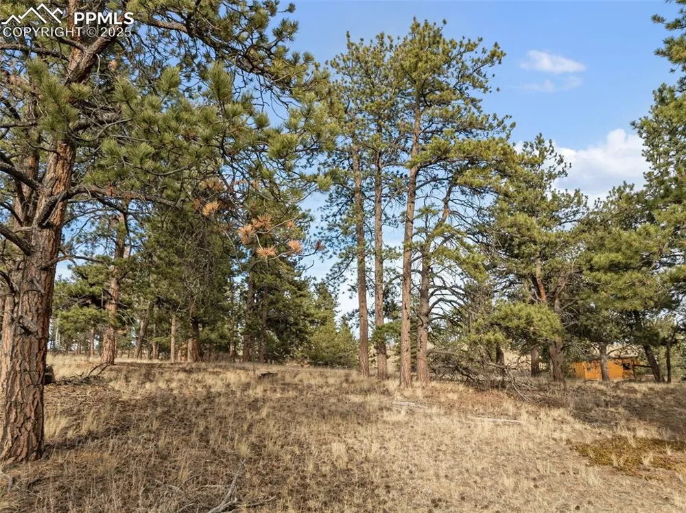 263 Valley Drive Lake George, CO 80827