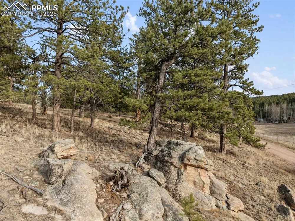 263 Valley Drive Lake George, CO 80827