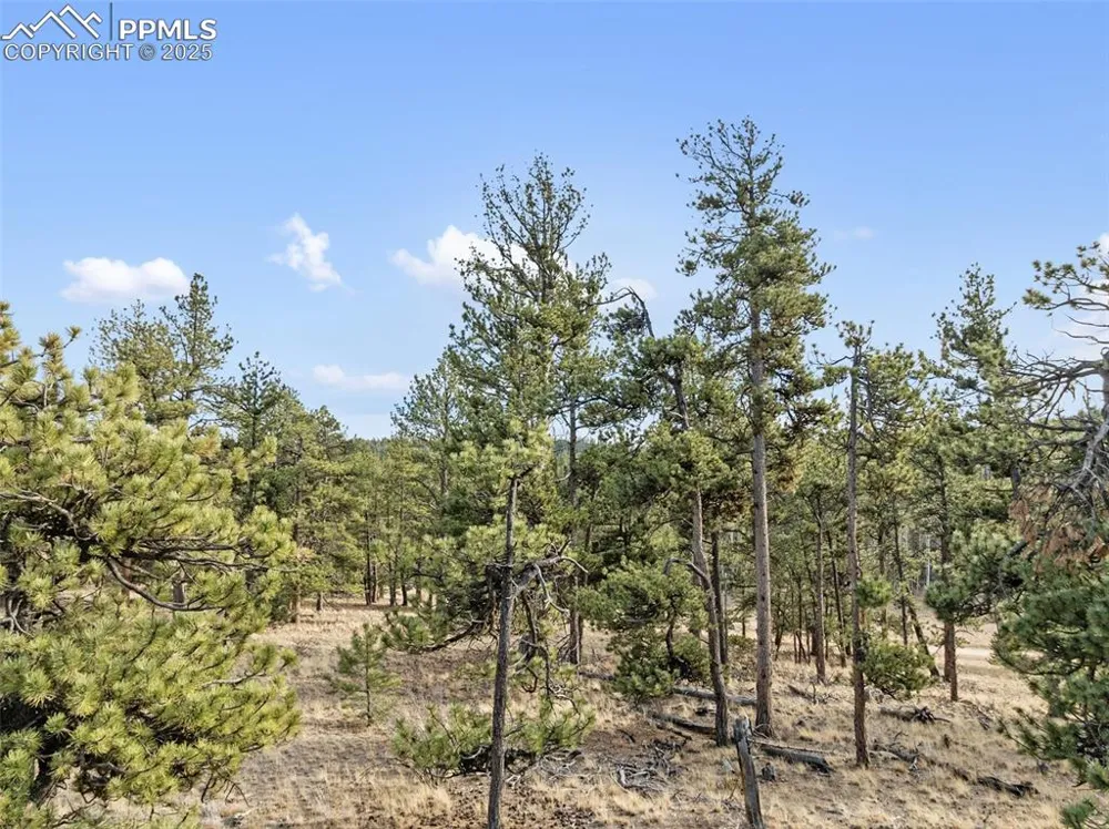 263 Valley Drive Lake George, CO 80827