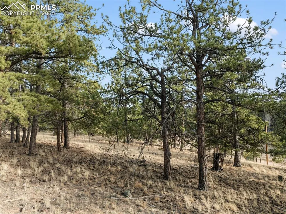 263 Valley Drive Lake George, CO 80827