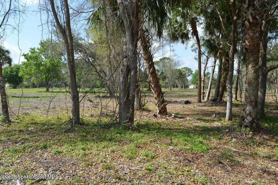 Us Hwy 1 Mims, FL 32754