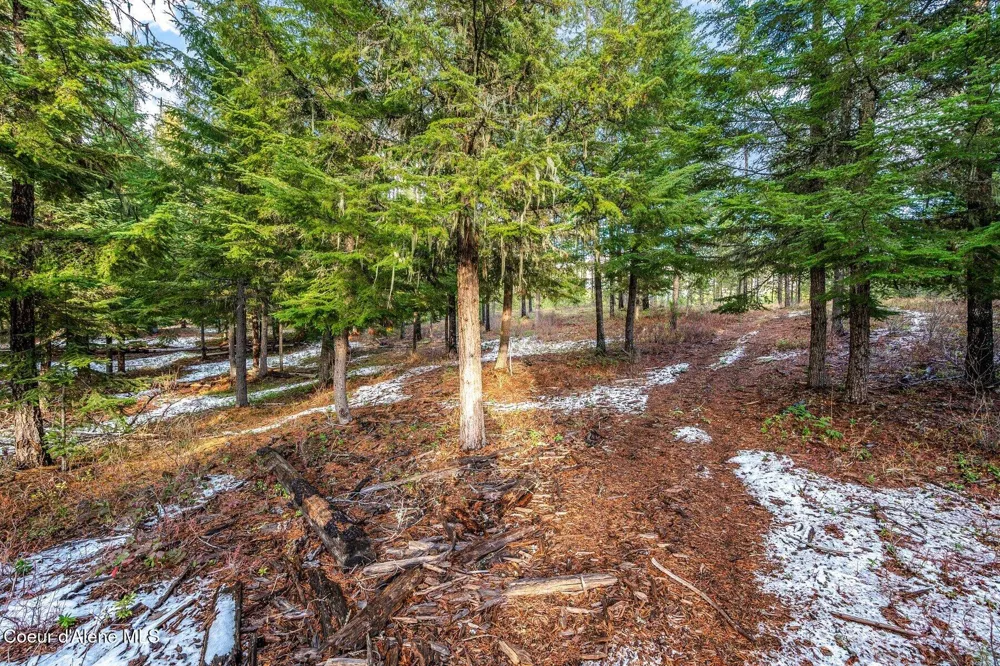 Lot 1 10.01 Acre Reeder Bay Road Nordman, ID 83848