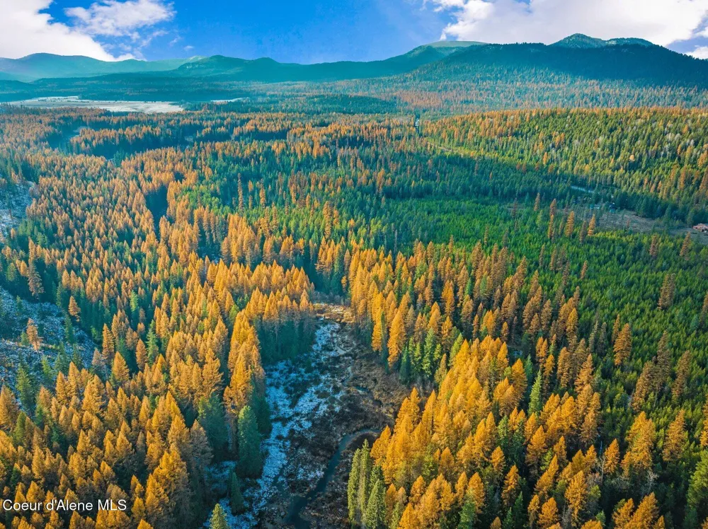 Lot 1 10.01 Acre Reeder Bay Road Nordman, ID 83848