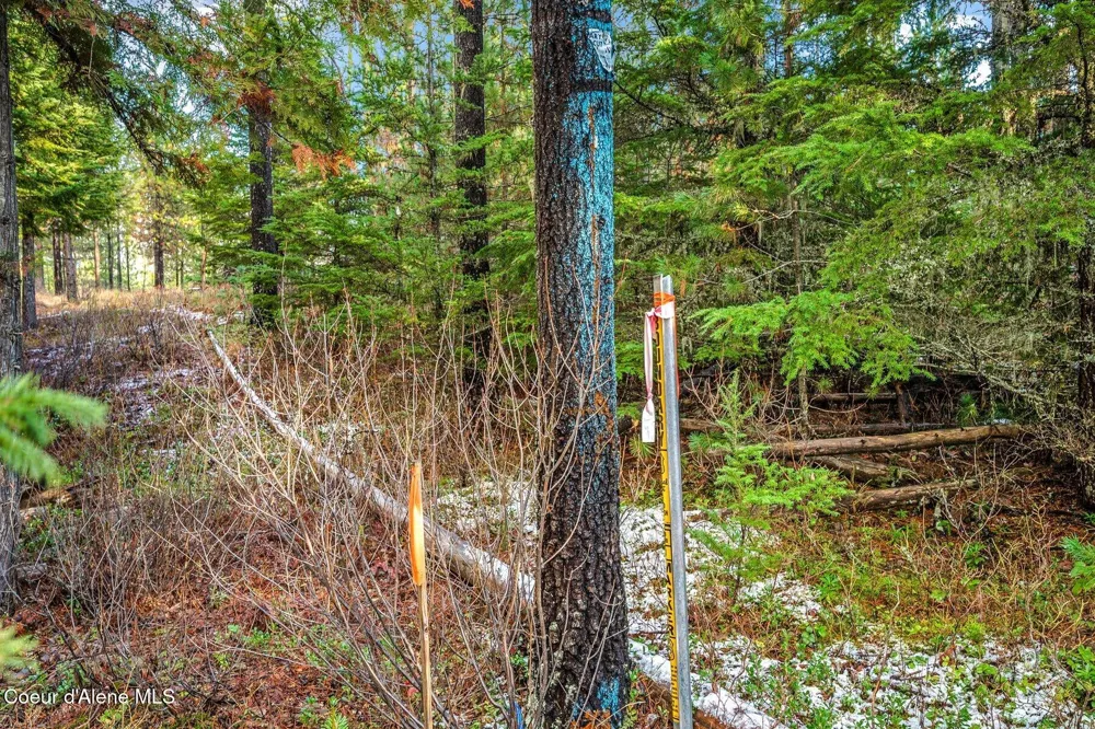 Lot 1 10.01 Acre Reeder Bay Road Nordman, ID 83848