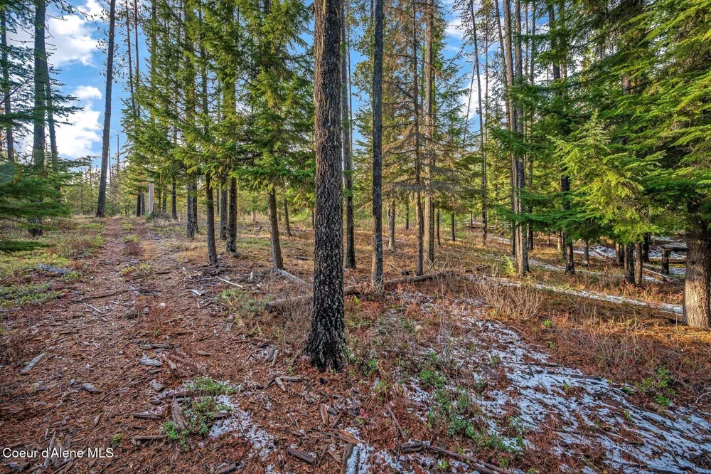 Lot 1 10.01 Acre Reeder Bay Road Nordman, ID 83848