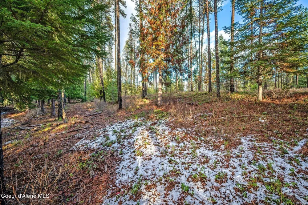 Lot 1 10.01 Acre Reeder Bay Road Nordman, ID 83848