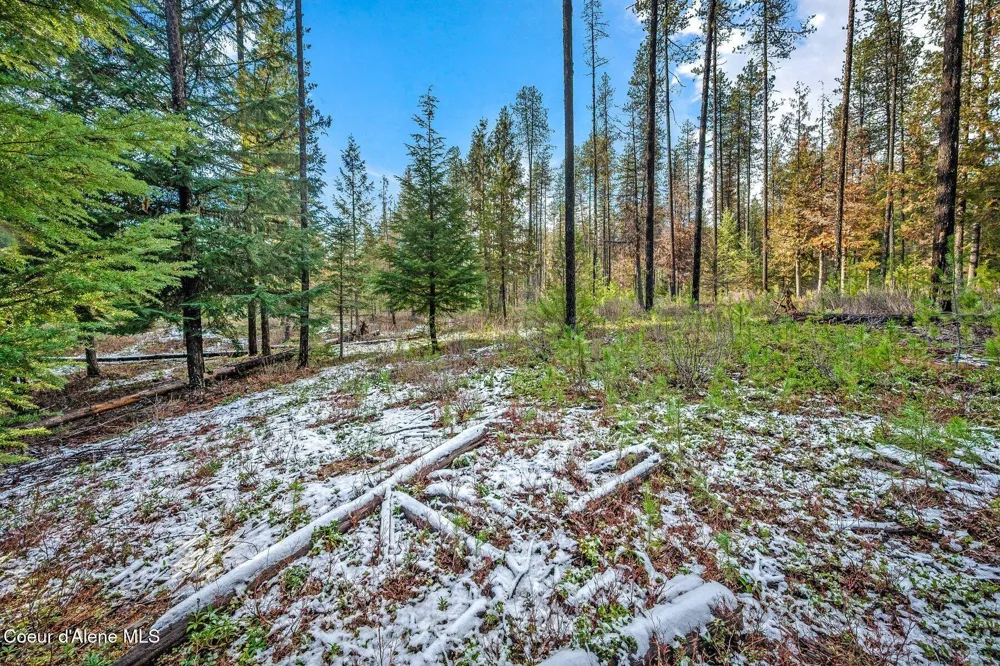 Lot 1 10.01 Acre Reeder Bay Road Nordman, ID 83848
