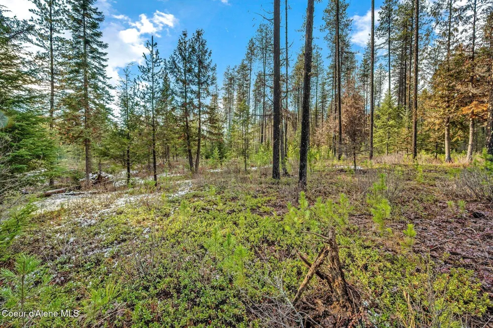 Lot 1 10.01 Acre Reeder Bay Road Nordman, ID 83848