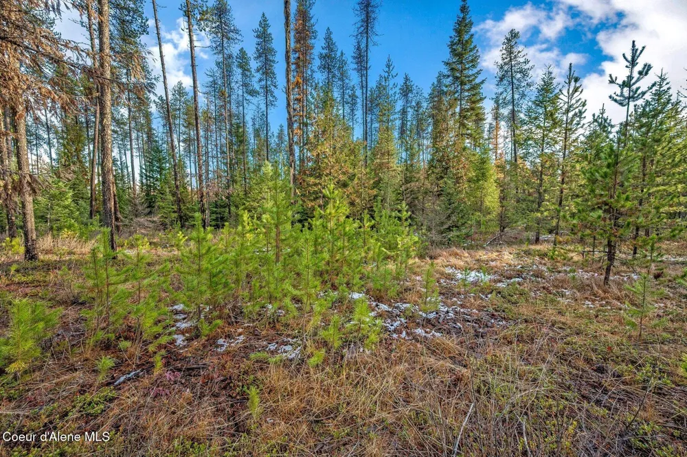 Lot 1 10.01 Acre Reeder Bay Road Nordman, ID 83848