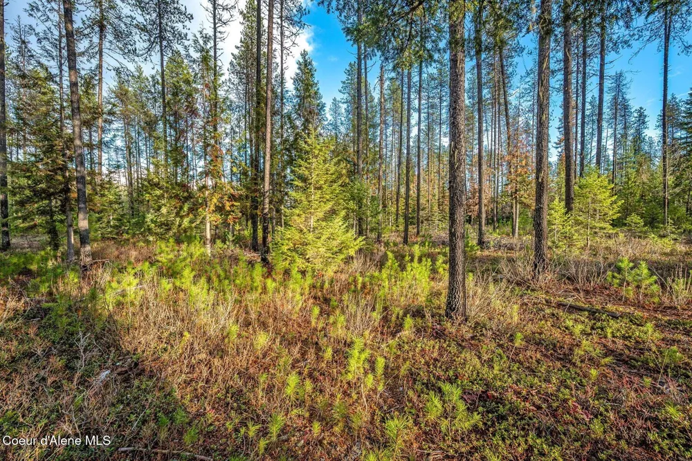 Lot 1 10.01 Acre Reeder Bay Road Nordman, ID 83848