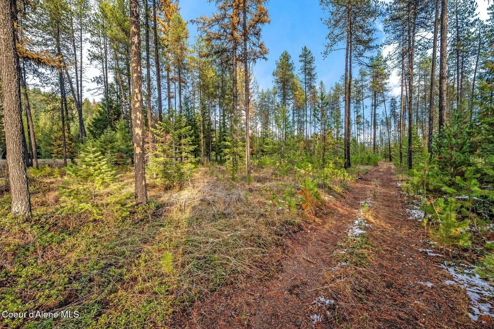 Lot 1 10.01 Acre Reeder Bay Road Nordman, ID 83848