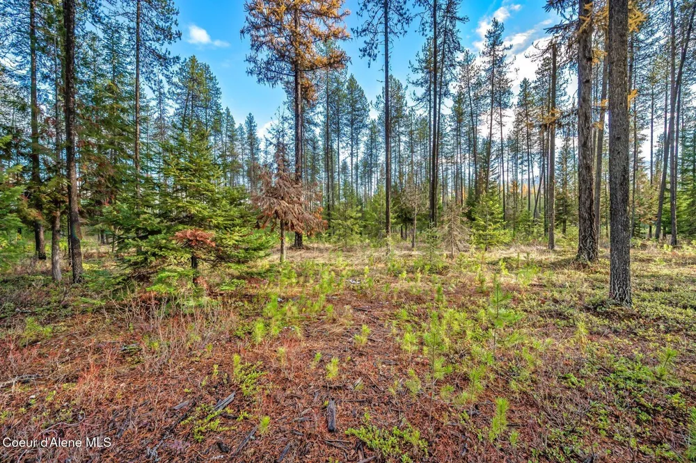 Lot 1 10.01 Acre Reeder Bay Road Nordman, ID 83848