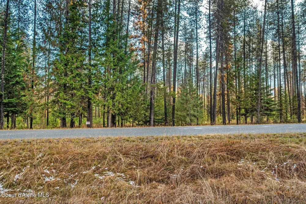 Lot 1 10.01 Acre Reeder Bay Road Nordman, ID 83848
