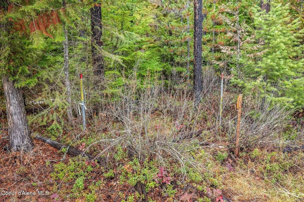 Lot 1 10.01 Acre Reeder Bay Road Nordman, ID 83848