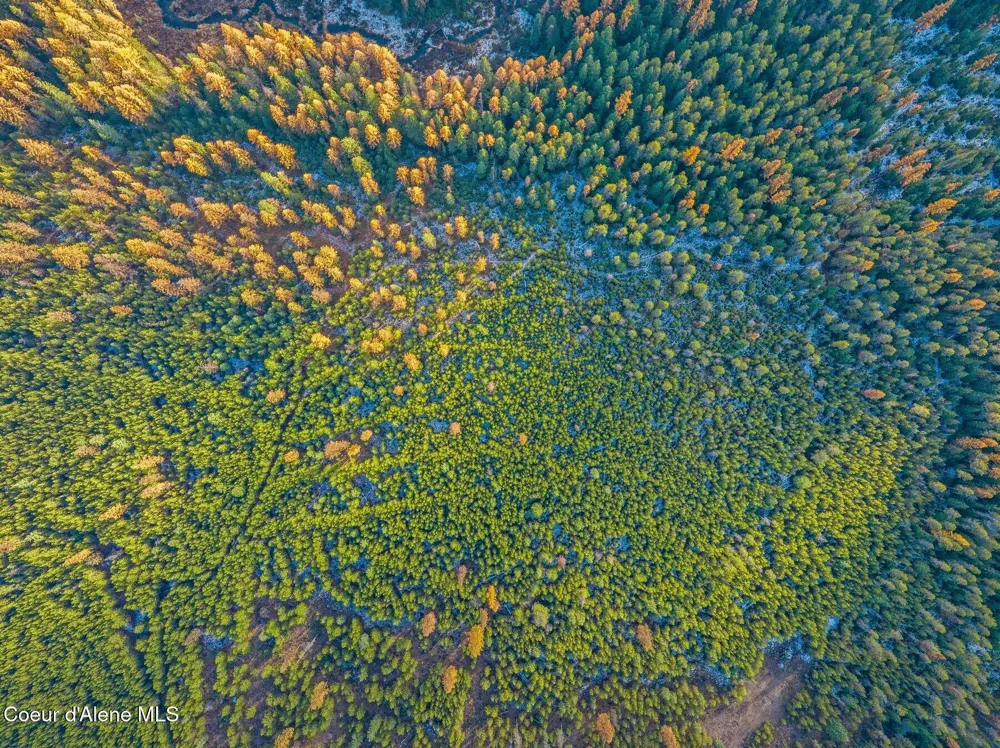 Lot 3 10.32 Acre Reeder Bay Road Nordman, ID 83848