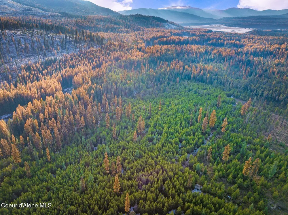 Lot 3 10.32 Acre Reeder Bay Road Nordman, ID 83848