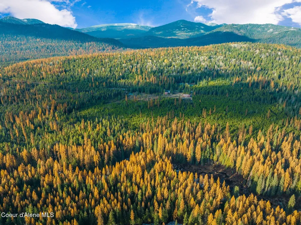Lot 3 10.32 Acre Reeder Bay Road Nordman, ID 83848