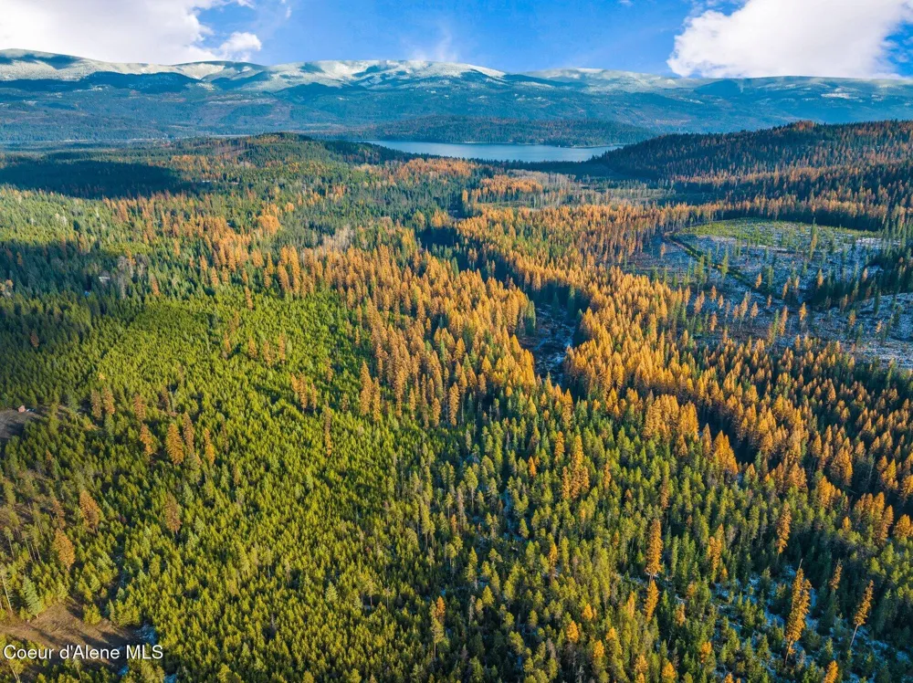Lot 3 10.32 Acre Reeder Bay Road Nordman, ID 83848
