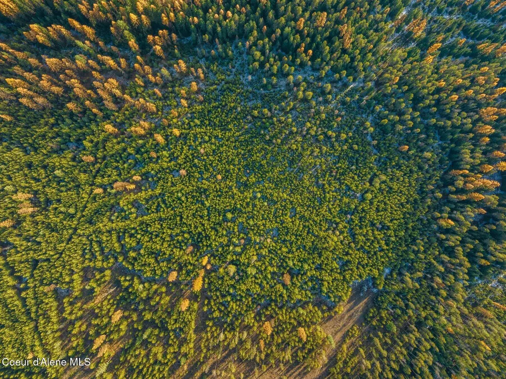 Lot 3 10.32 Acre Reeder Bay Road Nordman, ID 83848