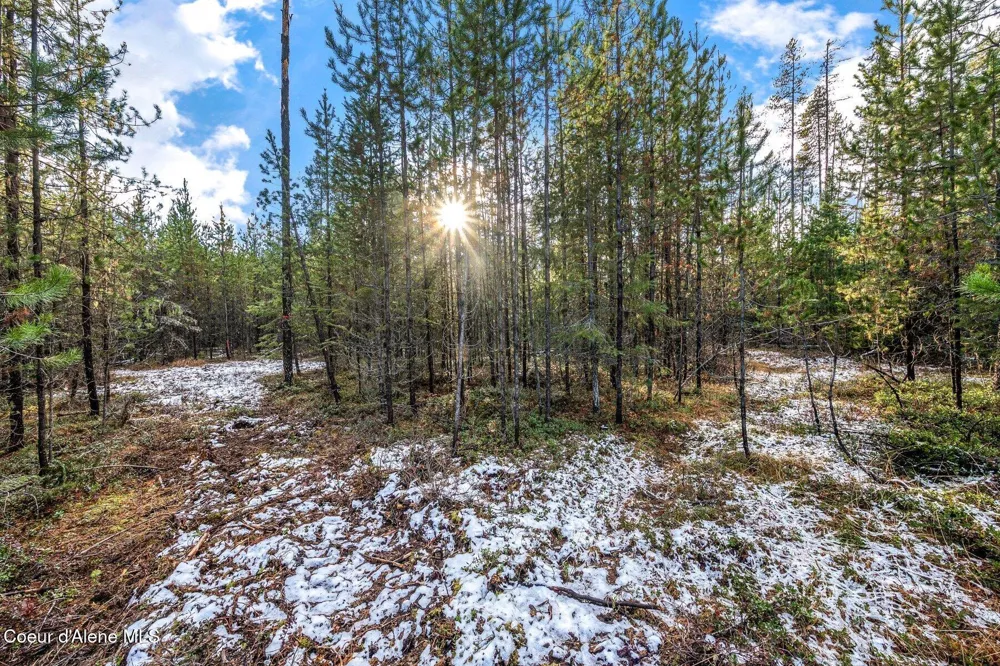 Lot 3 10.32 Acre Reeder Bay Road Nordman, ID 83848