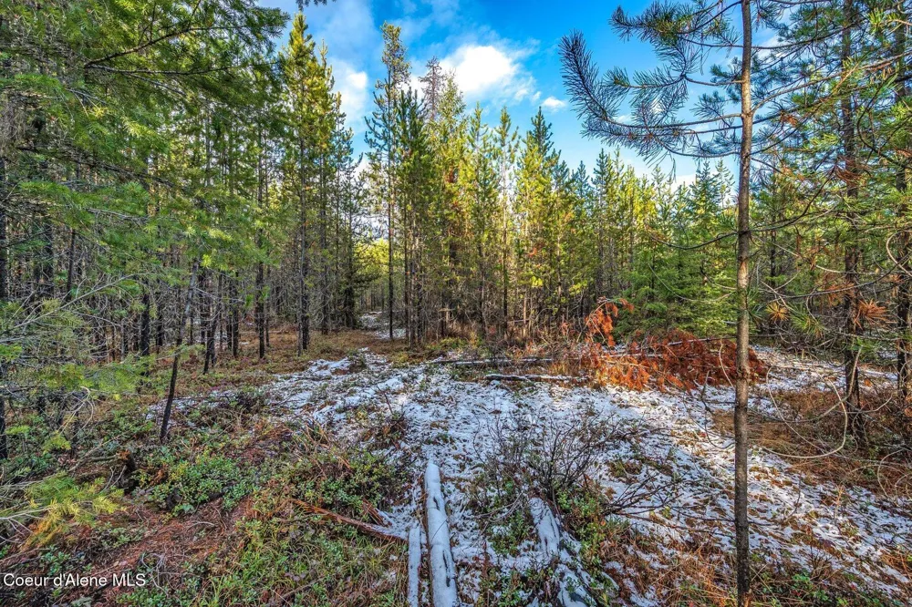 Lot 3 10.32 Acre Reeder Bay Road Nordman, ID 83848